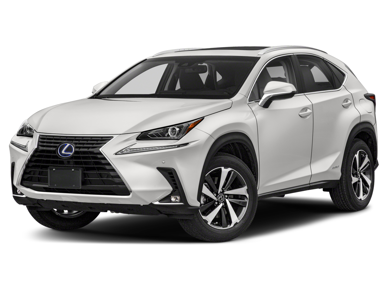 2020 Lexus NX 350h 300h AWD's photo