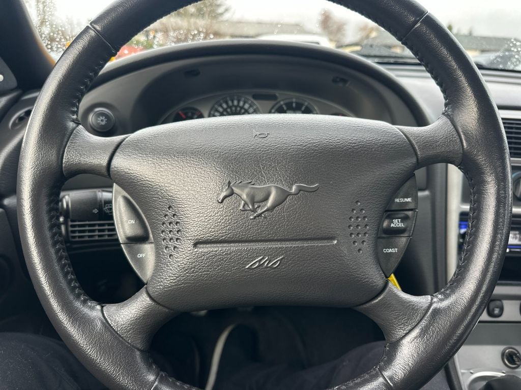 2004 Ford Mustang Mach 1 Premium