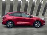 2024 Ford Escape Hybrid ST-Line