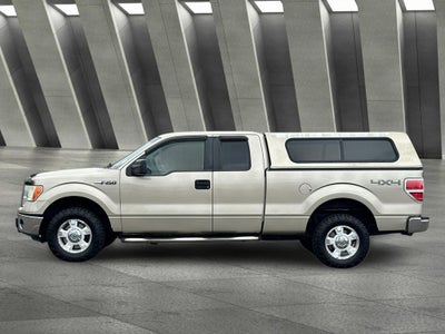 2010 Ford F-150 XLT